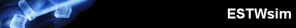  ESTWSim 